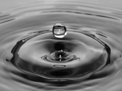 Genesys_waves-43-427x320