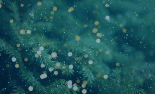 Season's Greetings - Support Hours