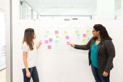 board-discussion-co-workers-notes-pexels-429x286