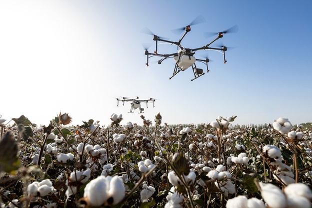 Drones swarming over a cotton field.